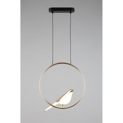 Светильник подвесной APL.822.06.10 фото 2 Светильник подвесной APL.822.06.10 фото 2