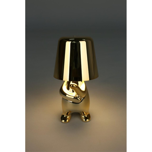 Настольная лампа APL.675.04.01 фото 11