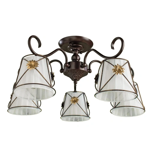 Потолочная люстра Arte Lamp FORTUNA A5495PL-5BR