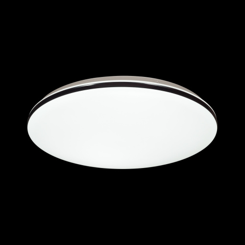 3042/EL TAN SN 167 Светильник пластик/черный LED 72Вт 3000-6500К D490 IP43 пульт ДУ/ LampSmart VAKA фото 5