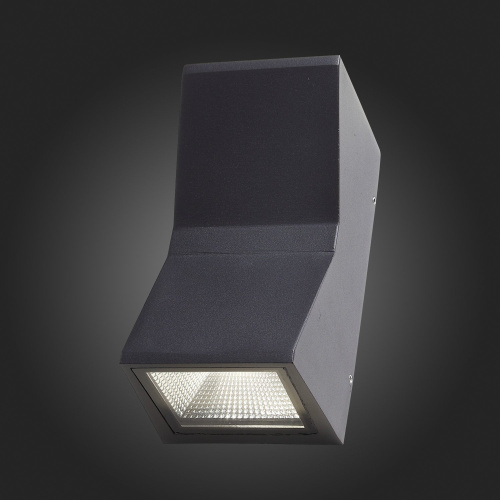 SL088.431.02 Светильник уличный настенный ST-Luce Черный кварцевый LED 2*7W 4000K DEALE фото 7