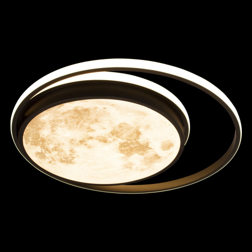 10217 Потолочный светильник LOFT IT Luna фото 4