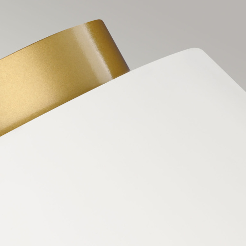 Потолочный светильник Feiss, Арт. FE-CARTER-F-MW фото 4