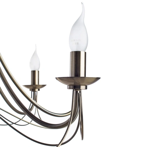 Подвесная люстра Arte Lamp MAYPOLE A6300LM-8AB фото 3 Подвесная люстра Arte Lamp MAYPOLE A6300LM-8AB фото 3