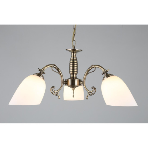 Люстра подвесная OML-56407-03 фото 5