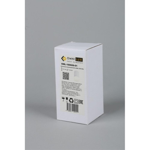 Светильник встраиваемый-накладной OML-100609-01 фото 5