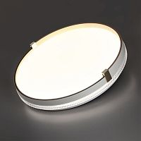 7646/CLN PALE SN 189 Светильник пластик/белый/золотой LED 36Вт 4000К D340 IP43 OLIDI WHITE