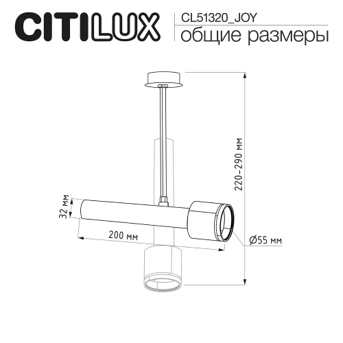 Citilux SkyPORT.10 VEKTOR CL51320_JOY Встраиваемый светильник на штанге Белый 20см фото 8