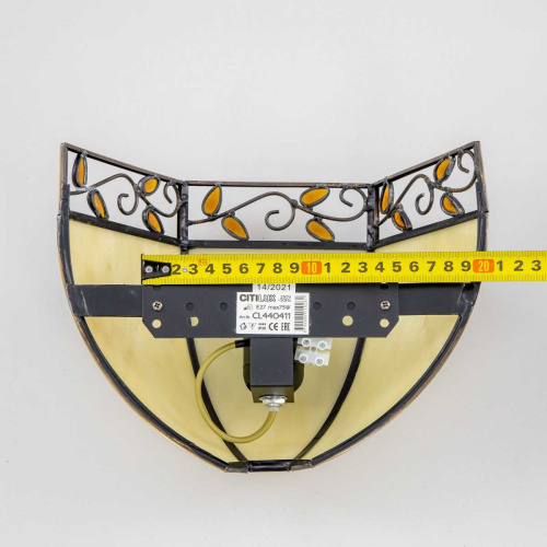 Настенный светильник Citilux Шербург-2 CL440411 фото 7