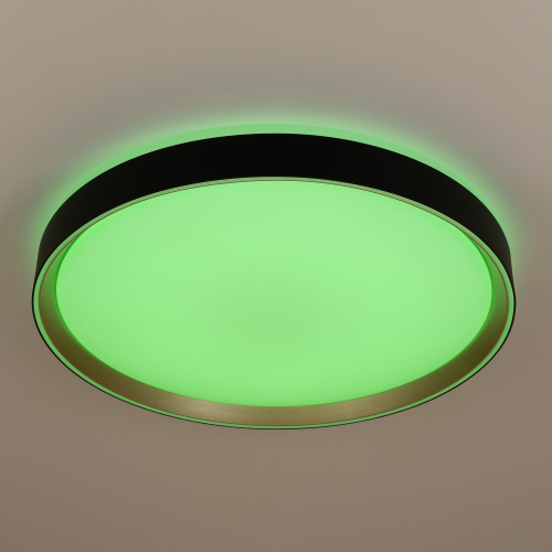 Citilux BOSS CL751451G LED RGB Светильник с пультом Чёрный с Золотом фото 10 Citilux BOSS CL751451G LED RGB Светильник с пультом Чёрный с Золотом фото 10