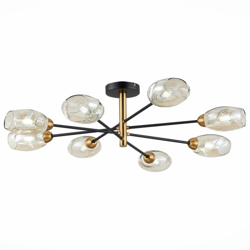 Потолочная люстра Evoluce Gloa SLE155502-08 Потолочная люстра Evoluce Gloa SLE155502-08