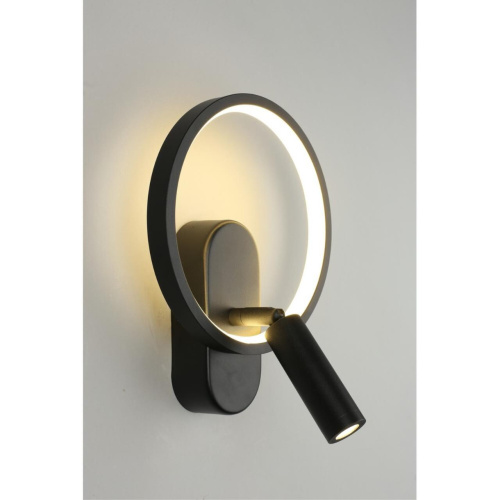 Светильник настенный (Бра) APL.346.01.02 фото 2