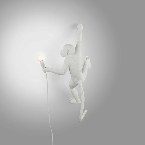 Настенный светильник Monkey Lamp Hanging Right фото 3 Настенный светильник Monkey Lamp Hanging Right фото 3
