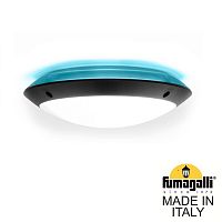 Fumagalli Уличное бра FUMAGALLI LUCIA BACKLIT 1R3.000.000.AYE27BU1