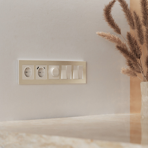 Рамка из металла на 5 постов AluMax шампань алюминий W0053511 фото 2 Рамка из металла на 5 постов AluMax шампань алюминий W0053511 фото 2