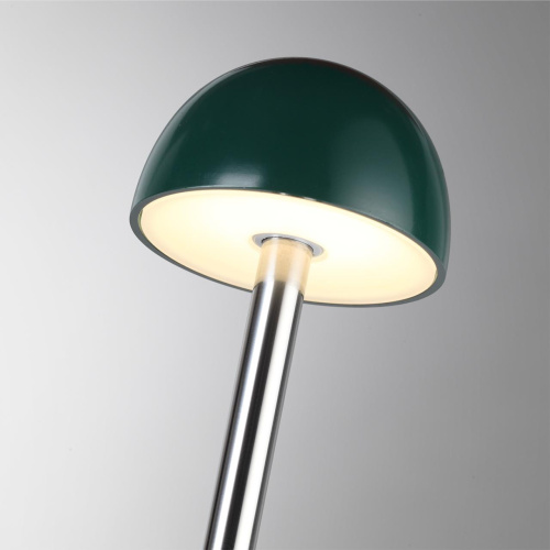 7122/4GL NATURE ODL26 653 Уличный светильник 530мм акрил/металл IP65 LED 3W 95Лм 24V VERDE (нужен драйвер 357781/357782) фото 5 7122/4GL NATURE ODL26 653 Уличный светильник 530мм акрил/металл IP65 LED 3W 95Лм 24V VERDE (нужен драйвер 357781/357782) фото 5