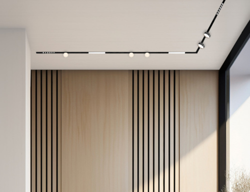 IT012-5025 black 3000K светильник трековый фото 3 IT012-5025 black 3000K светильник трековый фото 3