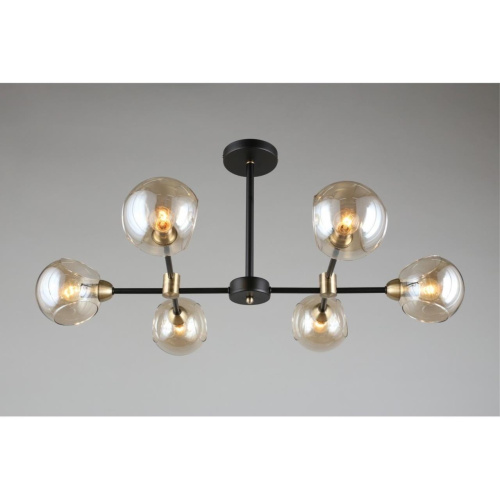 Люстра потолочная OML-94207-06 фото 11