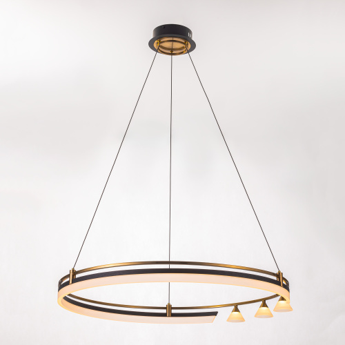 Citilux HELLY CL211082 Подвесная светодиодная люстра фото 6 Citilux HELLY CL211082 Подвесная светодиодная люстра фото 6