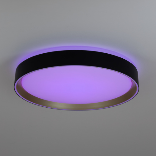 Citilux BOSS CL751351G LED RGB Светильник с пультом Чёрный с Золотом фото 10 Citilux BOSS CL751351G LED RGB Светильник с пультом Чёрный с Золотом фото 10