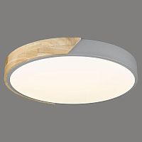 Потолочный светодиодный светильник Velante 445-227-01