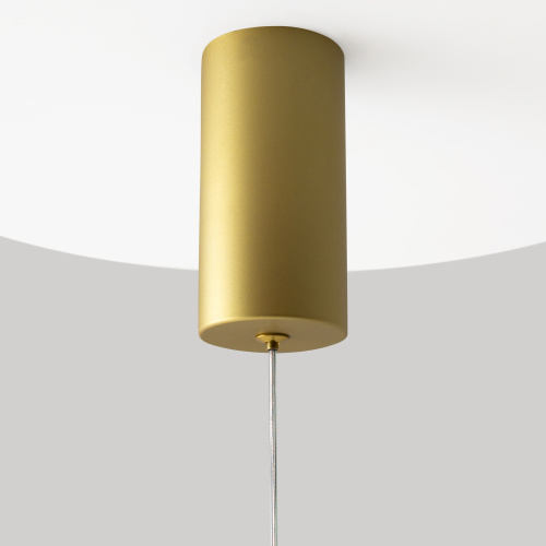 Подвесной светильник Maytoni MOD157PL-L6GK фото 7