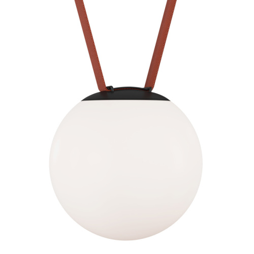Светильник на шине Denkirs BELTY ORB | БЕЛТИ ОРБ DK5553-BK фото 5 Светильник на шине Denkirs BELTY ORB | БЕЛТИ ОРБ DK5553-BK фото 5