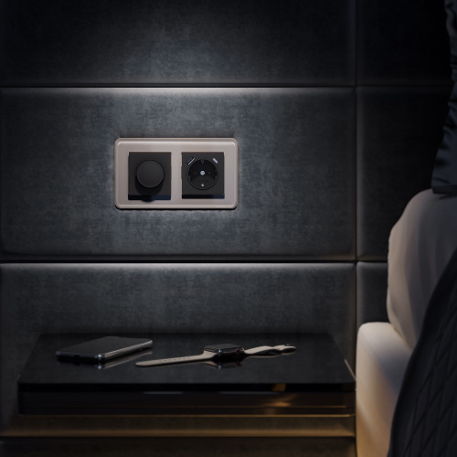 Рамка из стекла на 2 поста Elite дымчатый W0022417 фото 3