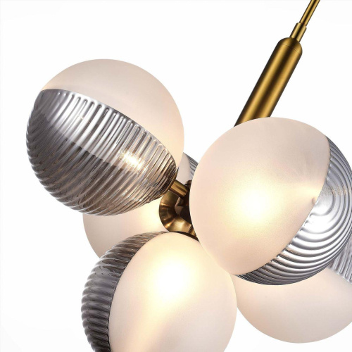 Подвесная люстра Evoluce Aveiro SLE1096-203-05 фото 4 Подвесная люстра Evoluce Aveiro SLE1096-203-05 фото 4