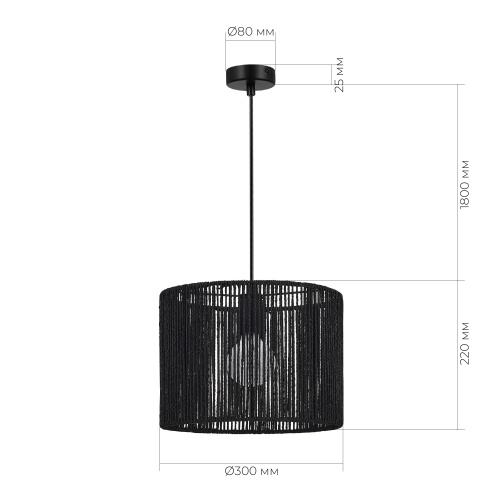 SLE6024-403-01 Светильник подвесной черный/черный E27 1*40W ETTAN фото 2