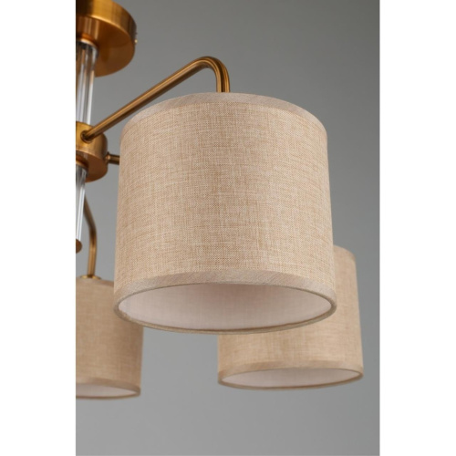 Люстра потолочная OML-56907-05 фото 3 Люстра потолочная OML-56907-05 фото 3