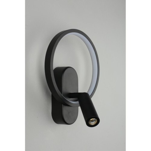 Светильник настенный (Бра) APL.346.01.02 фото 15