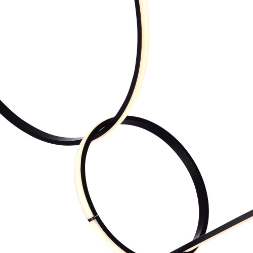 SL6113.433.01 Светильник подвесной ST-Luce Черный LED 1*50W 3000K GAIA фото 2