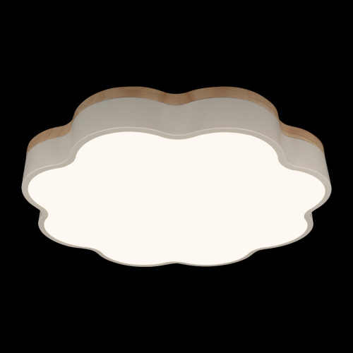 10225/36 White Потолочный светильник LOFT IT Axel фото 2