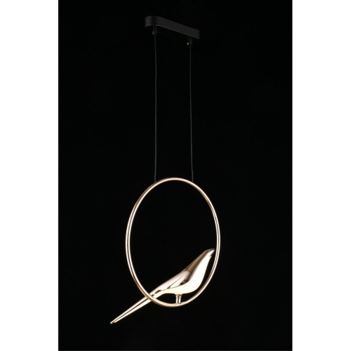 Светильник подвесной APL.822.06.10 фото 13 Светильник подвесной APL.822.06.10 фото 13