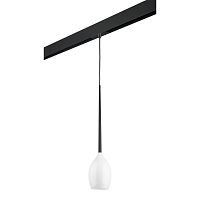 Комплект с трековым светильником Lightstar Meta d'uovo (807110+595007) PRO807110