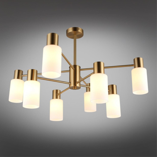 Люстра потолочная OML-69107-08 фото 3 Люстра потолочная OML-69107-08 фото 3