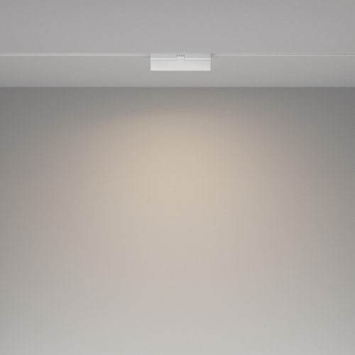 Трековый светильник Technical TR036-2-12W4K-W фото 2