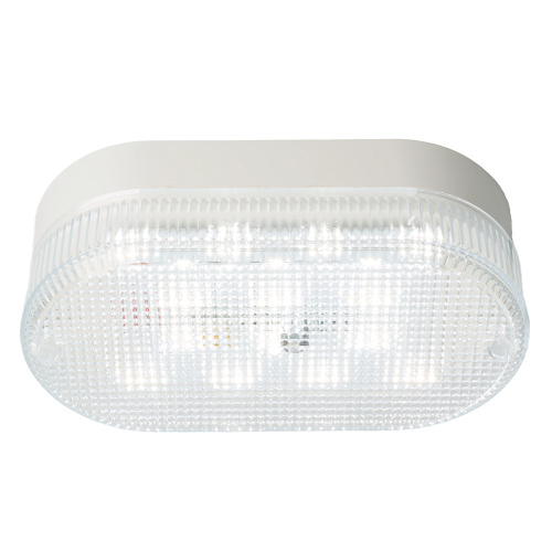 Светодиодный светильник серии TR  Овал 12Вт, 4000К, призма, IP53 фото 2