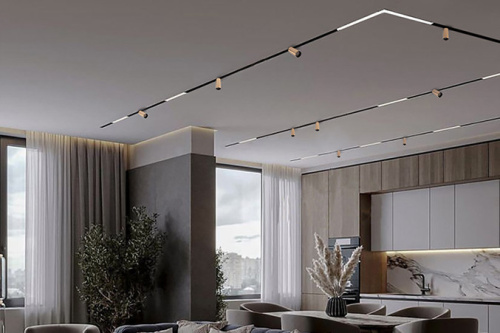 IT012-5031 black накладной магнитный шинопровод фото 3 IT012-5031 black накладной магнитный шинопровод фото 3