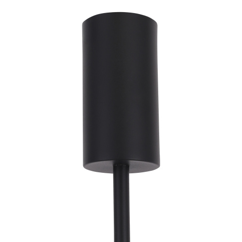 SL6210.403.02 Светильник подвесной ST-Luce Черный/Черный, Золотистый LED 2*3W 3000K LILT фото 5