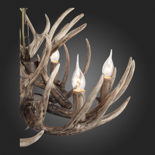 SL154.703.06 Люстра подвесная ST-Luce Серый E14 6*40W CORNA фото 16 SL154.703.06 Люстра подвесная ST-Luce Серый E14 6*40W CORNA фото 16