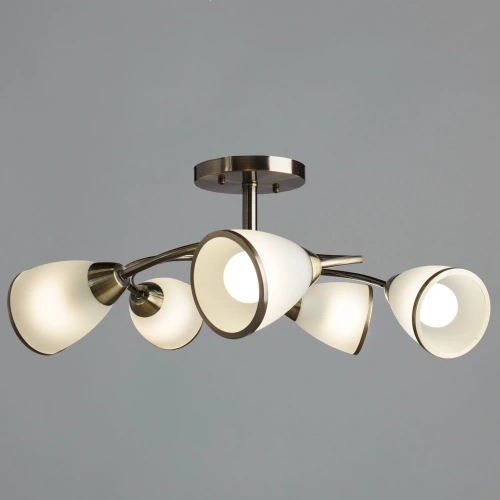 Потолочная люстра Arte Lamp INNOCENTE A6056PL-5AB фото 2 Потолочная люстра Arte Lamp INNOCENTE A6056PL-5AB фото 2