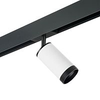 Комплект с трековым светильником Lightstar Rullo (214436+595057+203437) PRO4363437