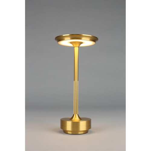 Настольная лампа OML-40414-01 фото 14