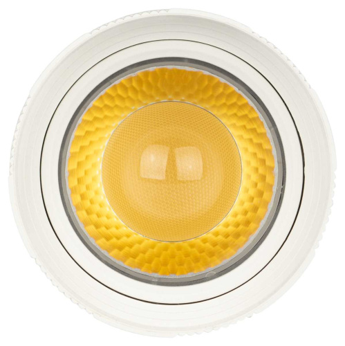 Трековый светильник однофазный ЭРА TR59-2040 WH Б0054442 фото 5