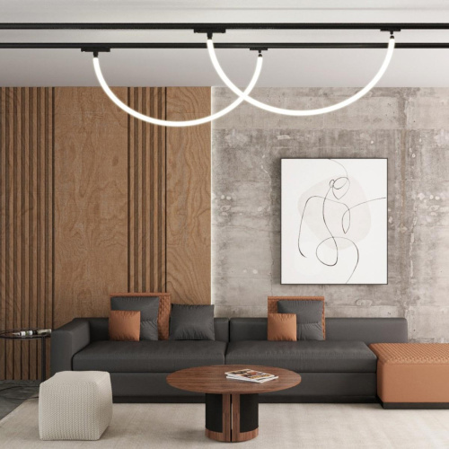 Адаптер для однофазного двухжильного трека Novotech Konst Ramo 359135 фото 2