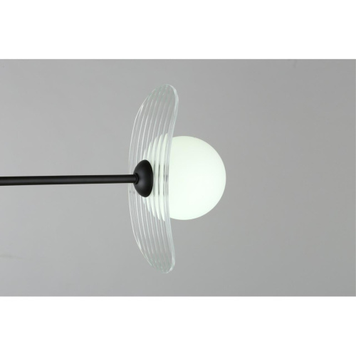 Люстра потолочная OML-51107-06 фото 9 Люстра потолочная OML-51107-06 фото 9