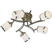 Потолочная люстра Velante 713-507-05