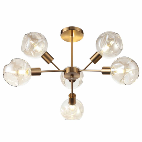 Потолочная люстра Evoluce Gentore SLE155302-06 фото 9